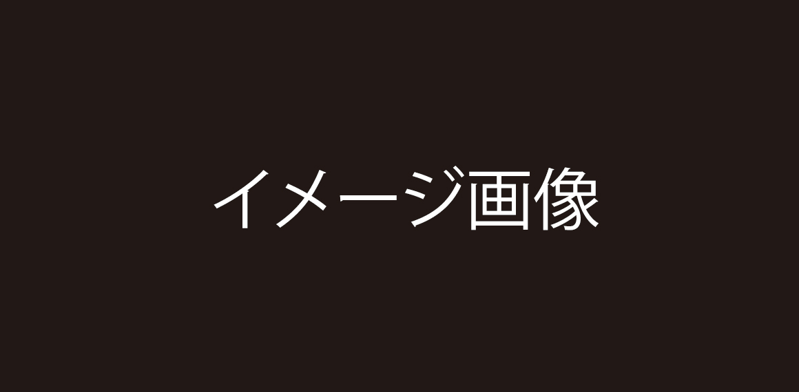 VanNuys Code1A 商品イメージ