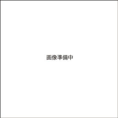 E702-Traveler：大人のワーキングベース ハイエンドプレミアムビジネスリュック E702-Traveler Option 01