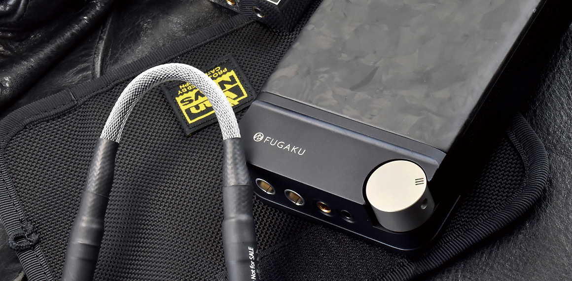 E600-FU:Brise Audio FUGAKU・DAP収納ケース 商品イメージ