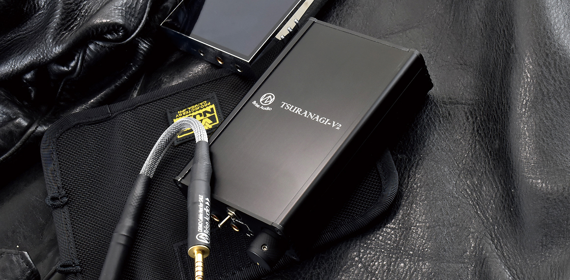 E600-TS:Brise Audio TSURANAGI・DAP収納ケース 商品イメージ
